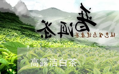 高露洁白茶/2023051224851