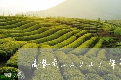 高黎贡山2021年普洱茶/2023112425078