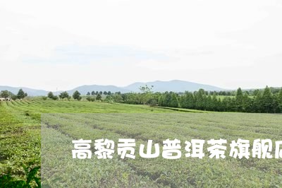 高黎贡山普洱茶旗舰店/2023062971726