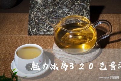 魅力冰岛320克普洱茶/2023050567181