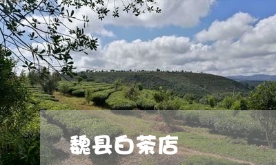 魏县白茶店/2023051262018