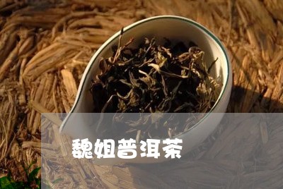 魏姐普洱茶/2023102580624