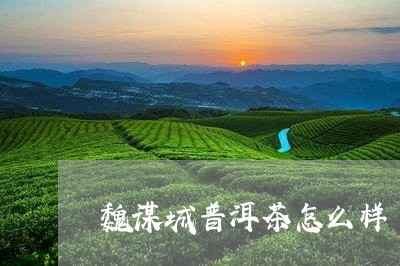 魏谋城普洱茶怎么样/2023120506148