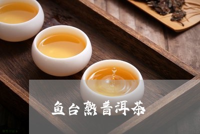 鱼台熟普洱茶/2023042700937