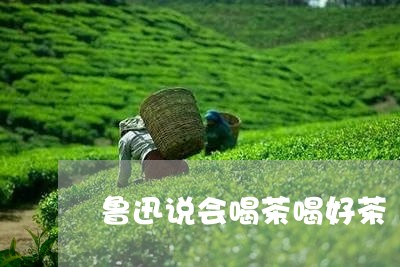 鲁迅说会喝茶喝好茶/2023042250373