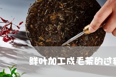 鲜叶加工成毛茶的过程称为/2023051120916
