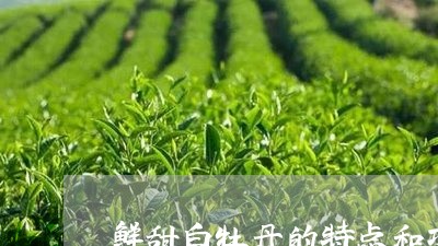 鲜甜白牡丹的特点和功效/2023092384836