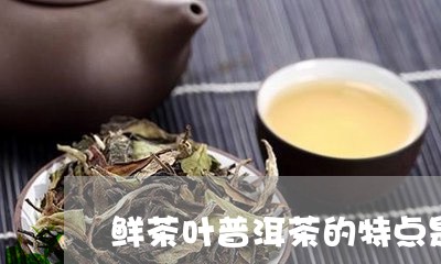 鲜茶叶普洱茶的特点是/2023063060847