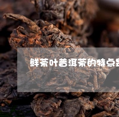 鲜茶叶普洱茶的特点是哪些/2023121882705