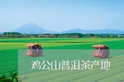 鸡公山普洱茶产地/2023120415247