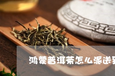 鸿蒙普洱茶怎么派送到香港/2023121806059