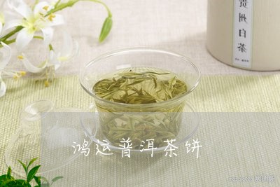 鸿运普洱茶饼/2023042749353