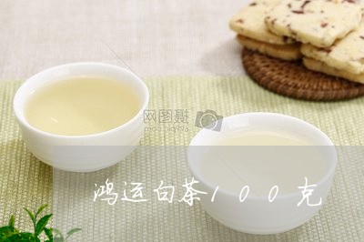 鸿运白茶100克/2023111738491