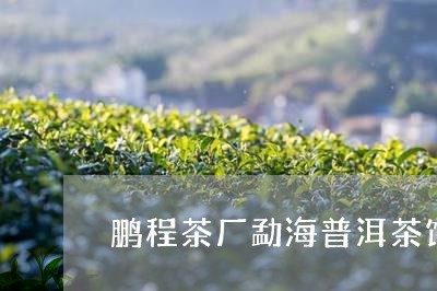 鹏程茶厂勐海普洱茶饼/2023100870918