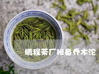 鹏程茶厂班章乔木沱/2023042573695