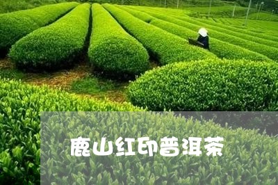 鹿山红印普洱茶/2023081500594