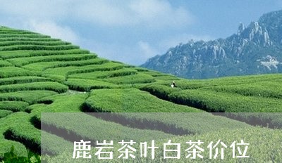 鹿岩茶叶白茶价位/2023071303716