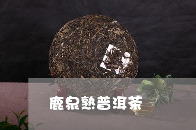 鹿泉熟普洱茶/2023042854659