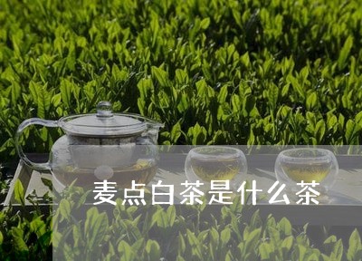 麦点白茶是什么茶/2023071351615