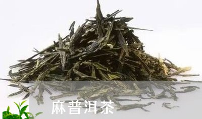 麻普洱茶/2023121813937