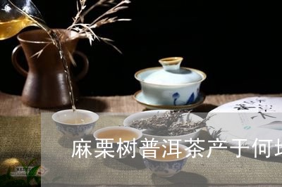 麻栗树普洱茶产于何地区/2023121893947