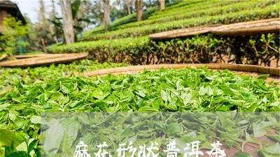 麻花形状普洱茶/2023101661383