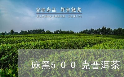 麻黑500克普洱茶/2023120426268