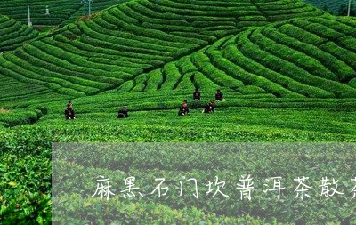 麻黑石门坎普洱茶散茶生茶/2023112897381