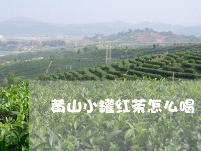 黄山小罐红茶怎么喝/2023042157159