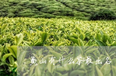 黄山有什么茶最出名/2023042161371