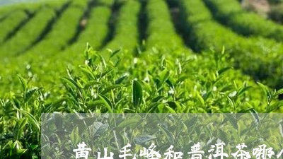 黄山毛峰和普洱茶哪个贵/2023083180514