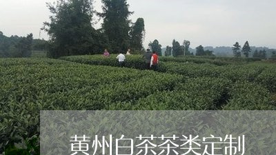 黄州白茶茶类定制/2023071373070