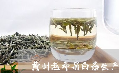 黄州老寿眉白茶生产厂家/2023092461048