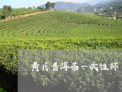 黄氏普洱茶一次性杯/2023091506269