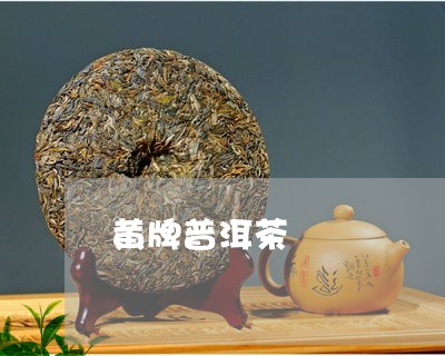 黄牌普洱茶/2023090523828