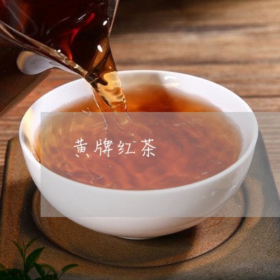 黄牌红茶/2023121914830