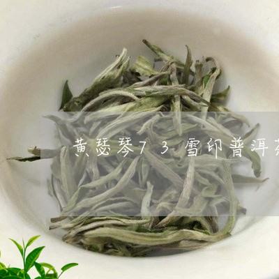 黄瑟琴73雪印普洱茶/2023092743826