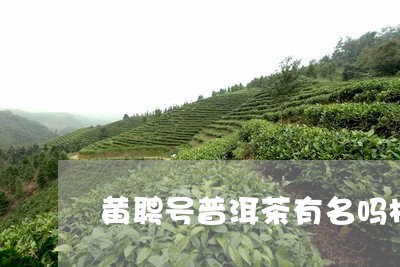 黄聘号普洱茶有名吗极普号茶业/2023053059361