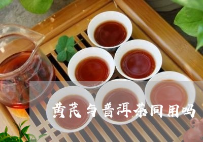 黄芪与普洱茶同用吗/2023101741613