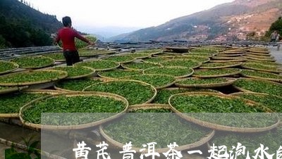 黄芪普洱茶一起泡水的功效/2023051007030