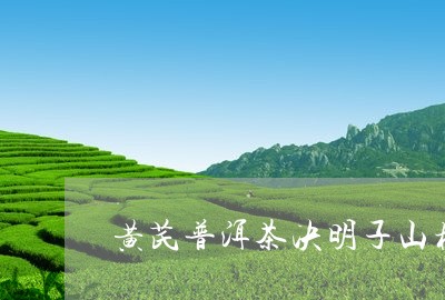 黄芪普洱茶决明子山楂/2023080338493