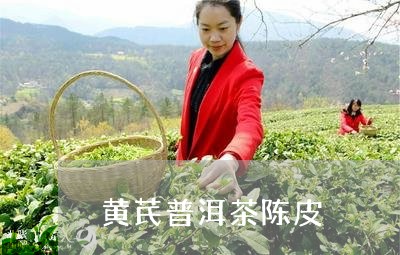 黄芪普洱茶陈皮/2023120337269