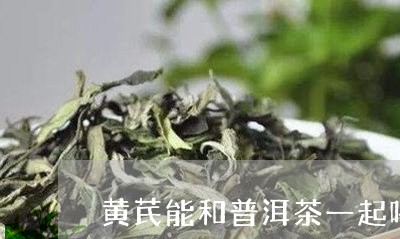 黄芪能和普洱茶一起喝/2023061504059