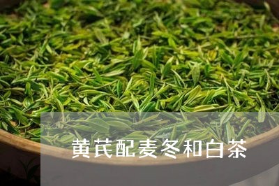 黄芪配麦冬和白茶/2023071385947