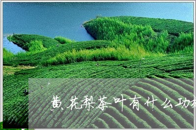 黄花梨茶叶有什么功效/2023061172937