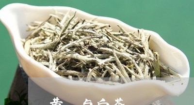 黄茋与白茶/2023051230603