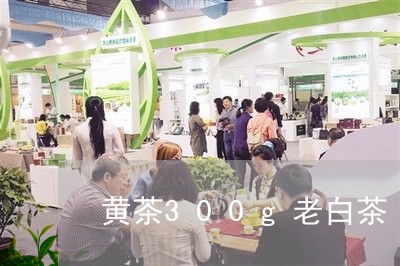 黄茶300g老白茶/2023121550935