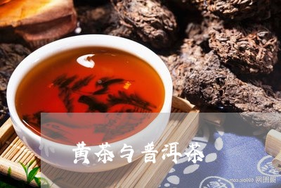 黄茶与普洱茶/2023042829960