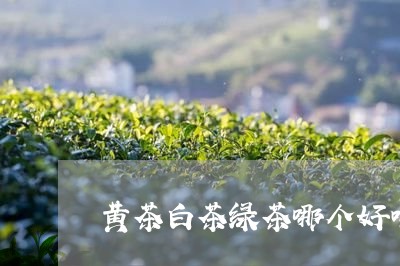 黄茶白茶绿茶哪个好喝一点/2023070180614