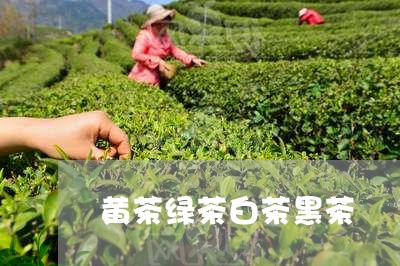 黄茶绿茶白茶黑茶/2023071253513